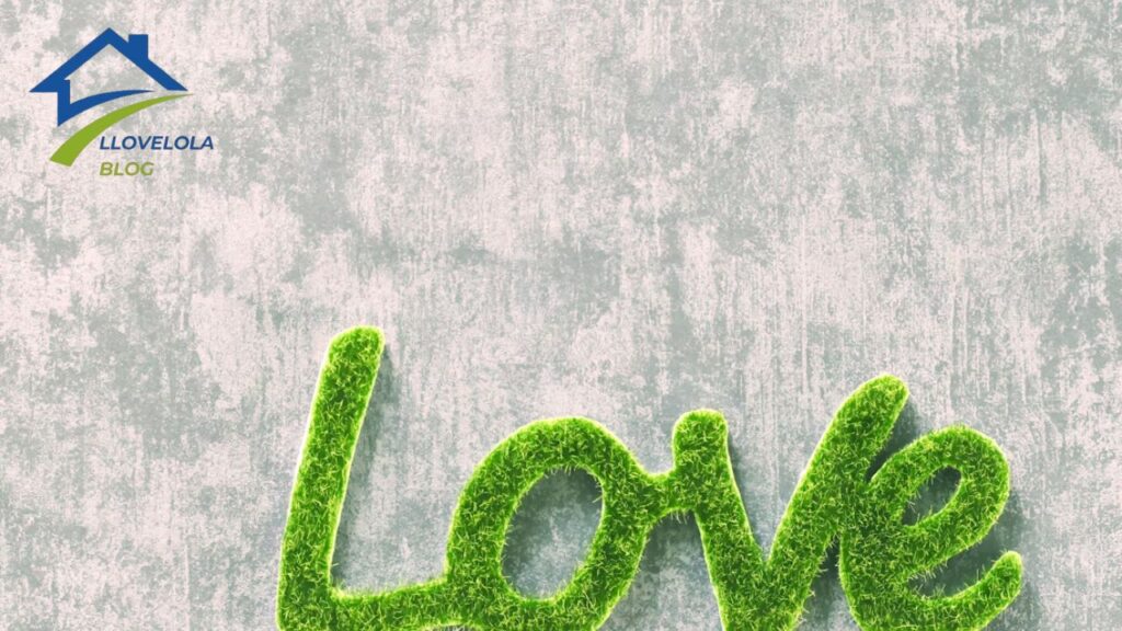 Exploring News Lovelolablog Insights, Reviews, and More