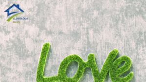 Exploring News Lovelolablog Insights, Reviews, and More